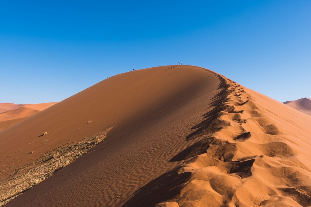 desert, sand, dry